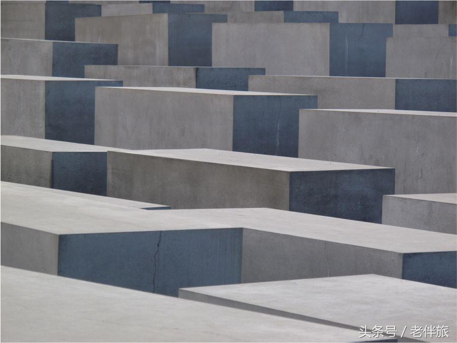 公益、毒枭、足球、电影——“老伴旅”分享“壮游者”四个好故事