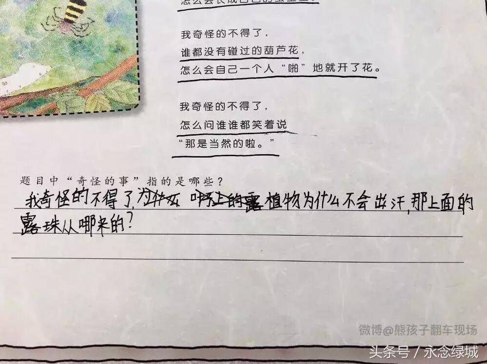 熊孩子脑洞大开文案怎么写,熊孩子令人哭笑不得文案