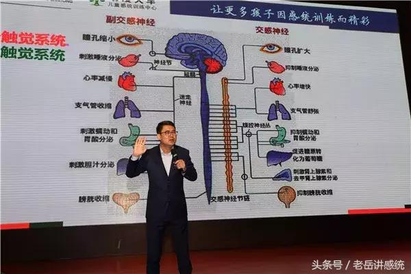 老岳主题演讲《感觉统合训练助推中国学前教育新发展》