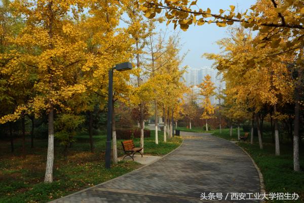 我国造光学瞄准镜,最先进的军用弹道瞄准镜