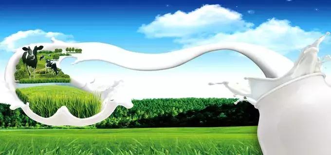 进口奶粉连爆质量问题,“安全”标签被击穿