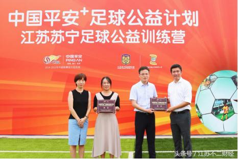 骞冲畨瓒崇悆,骞冲畨瓒崇悆娲诲姩