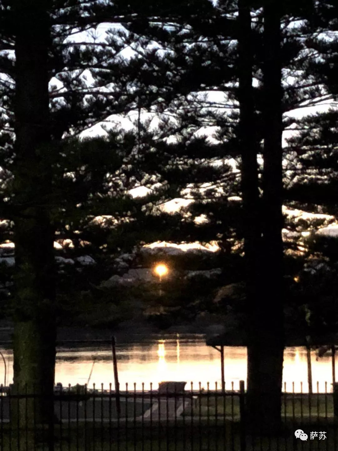 澳大利亚移民的血泪史,5000年前中国移民澳大利亚