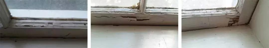 超标1000倍福岛检测到惊人辐射量,铅超标1500倍