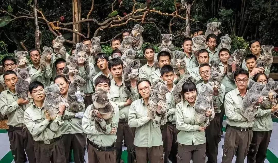 我不要做中国迪士尼，我要做中国的长隆！——苏志刚的长隆故事