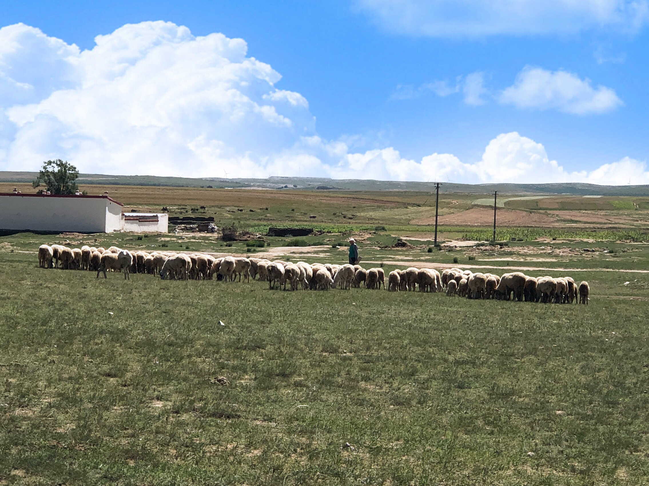 内蒙希拉穆仁草原好玩,包头希拉穆仁草原风景