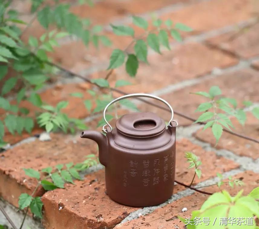 紫砂壶茶友日常泡茶,资深茶友紫砂壶