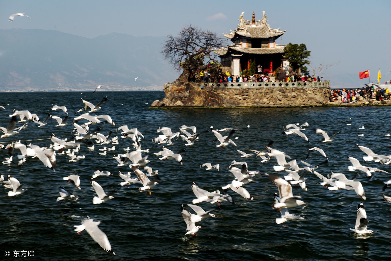 穷游大理市区路线攻略图片,大理旅游攻略穷游学生