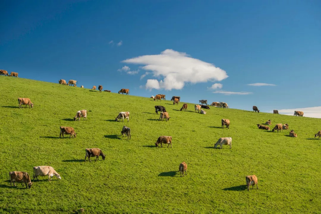 5000万新西兰可以买什么房,中国富人新西兰豪宅