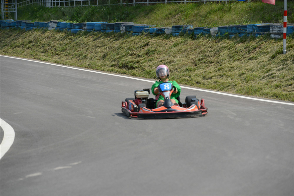 乐嘉如何了解孩子的性格,乐嘉性格色彩判断孩子性格