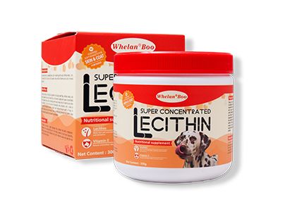 宠物换毛期怎么居家清洗,小型犬几个月开始换毛