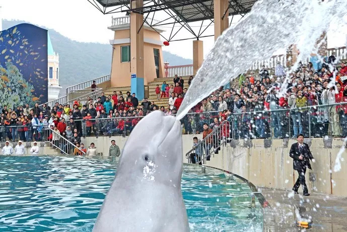 生日优惠攻略可省下一大笔钱,过生日省钱又划算的攻略