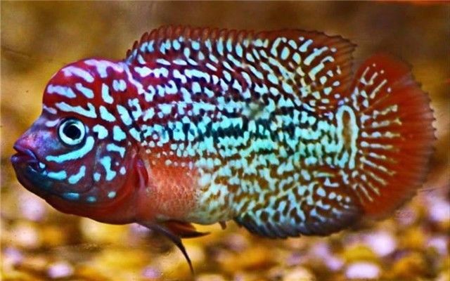 这些事千万不要做,这些事情千万不要做