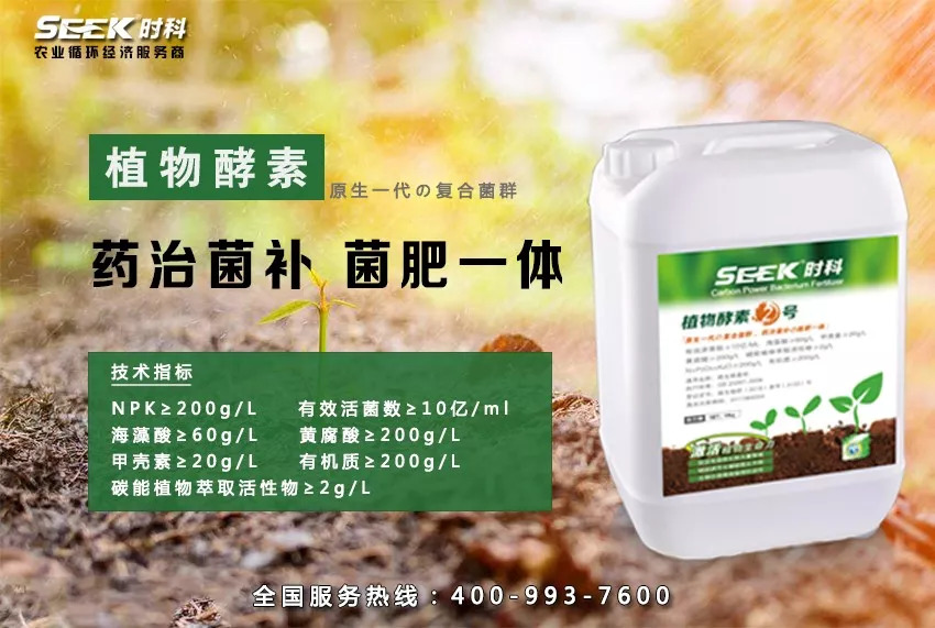 植物酵素研究现状,植物酵素真实反馈