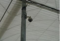 瑗挎簮姹囩殑鍒涗笟椤圭洰,瑗挎簮姹囧垱涓氬ソ椤圭洰