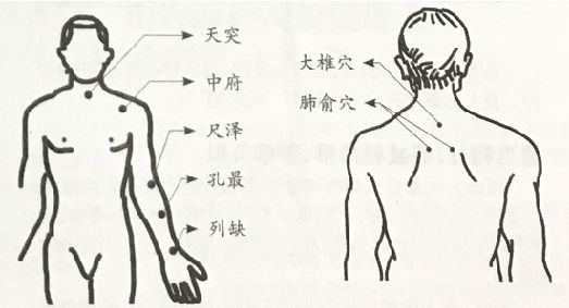 一脉相传止咳贴真的能治咳喘,养生堂祛痰止咳的方法
