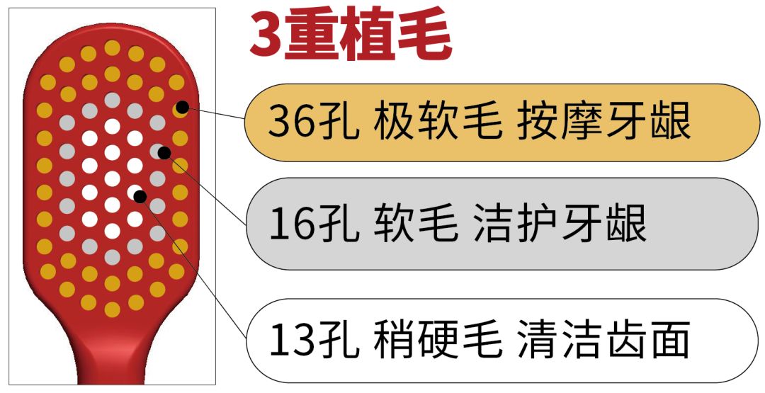 日本必买的牙刷 (双十一必买的牙刷)