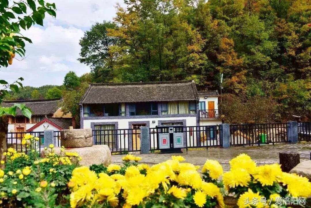 河南洛阳十大最美民宿,洛阳山上最美民宿