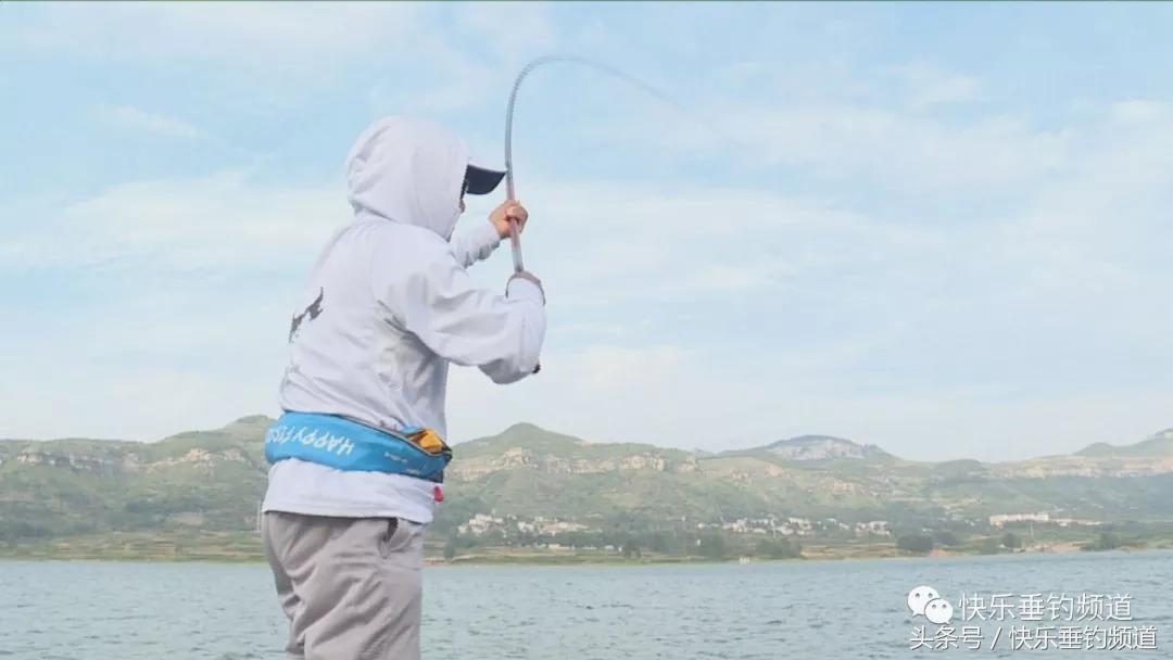 草鱼用什么鱼饵最好钓秋季,秋季黑坑钓草鱼怎么选位置