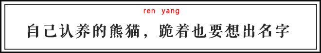 每一只可爱滚滚的背后,都有一群起名字不靠谱的人!