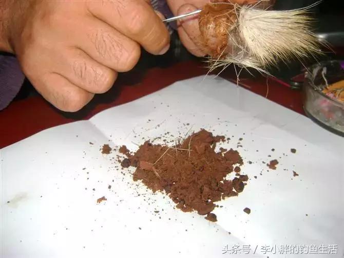 麝香酒真的诱鱼吗,麝香酒对野生鱼有效果吗