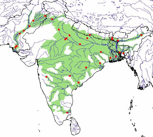 龟鳖目动物大全及图片,所有龟鳖类动物