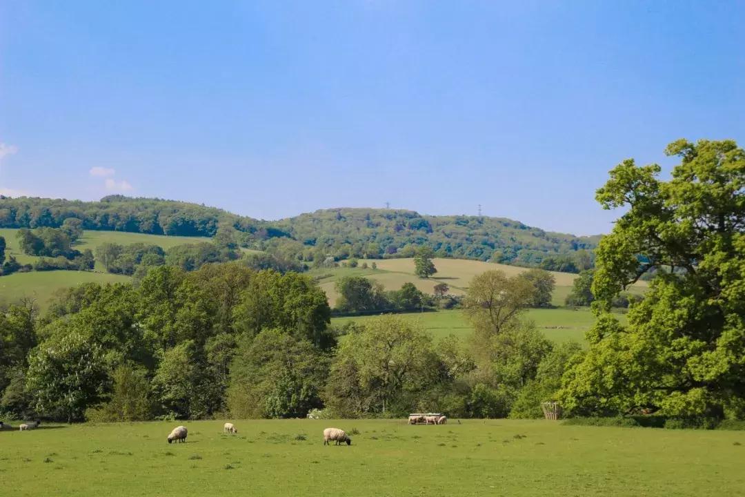 为什么英国人喜欢旅游呢,英国人的城镇和乡下生活