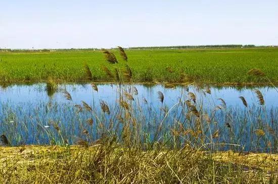 天津3日游必去十个景点免费,天津一日游最佳景点攻略