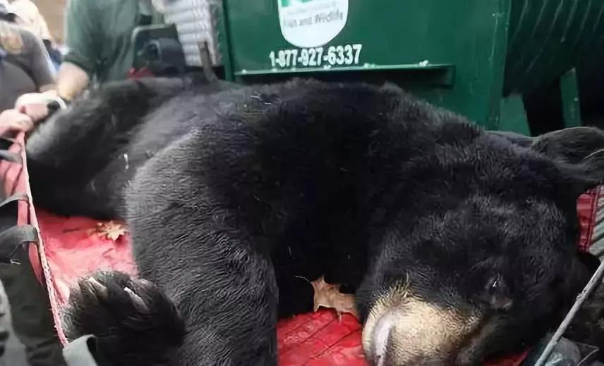 朋友圈代购真实案例,代购究竟有多暴利