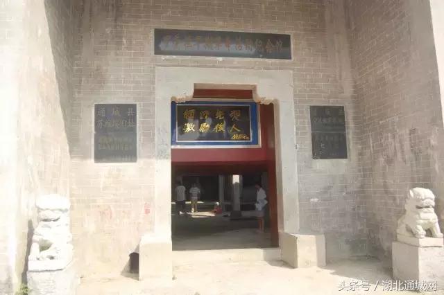 通城县红色历史故事,老通城革命历史