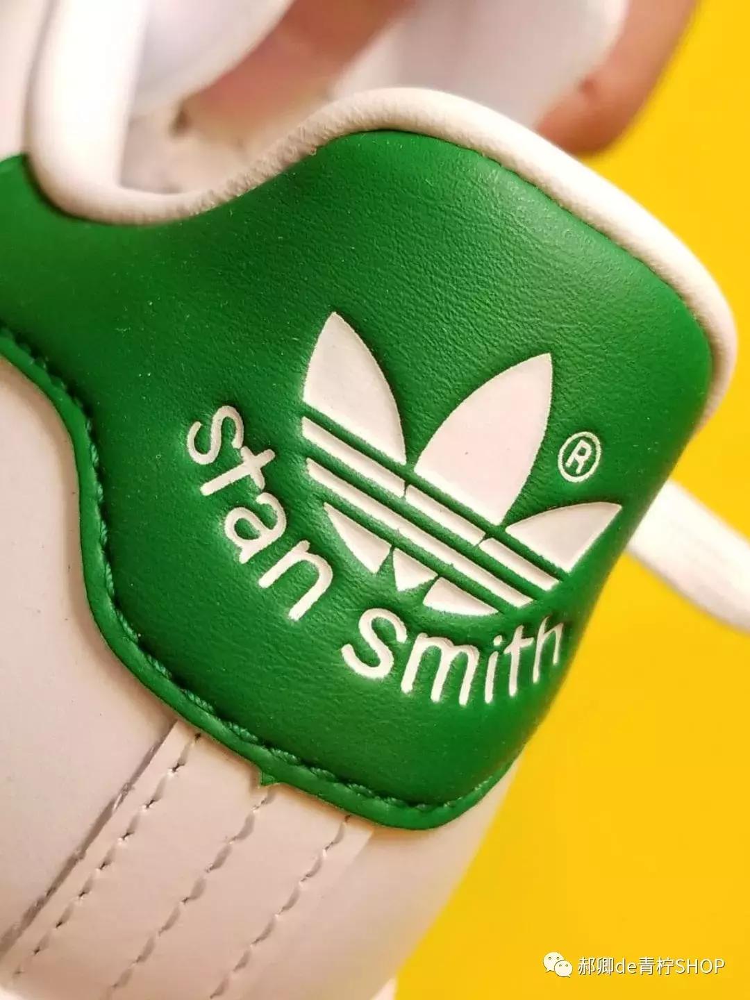 为什么绿尾少,绿尾是什么