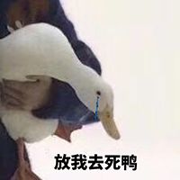 代购热门好物有哪些,国外代购必买物品清单