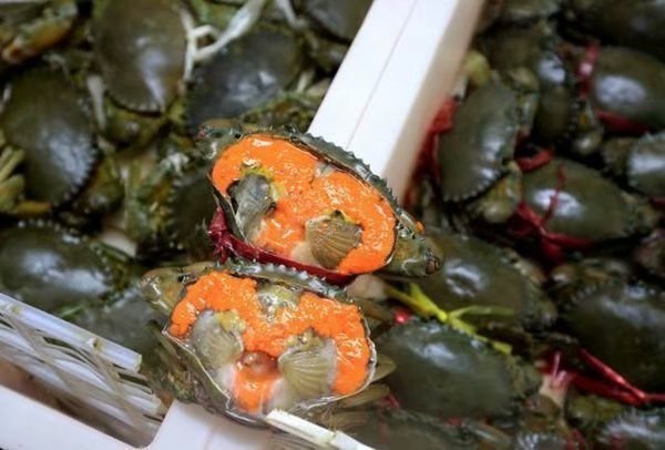 拥抱三亚沙滩,拥抱大海三亚