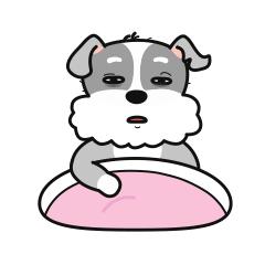 表情包可爱一只小狗,小狗龇牙咧嘴的笑表情包