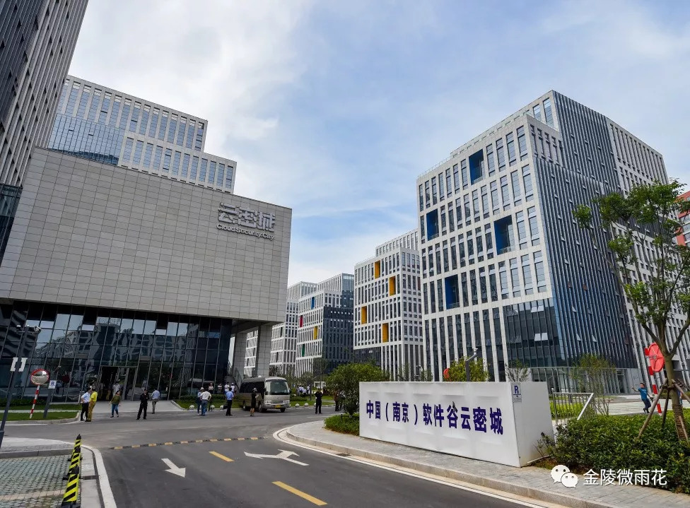 智领未来，“雨花软件”怒放创新名城