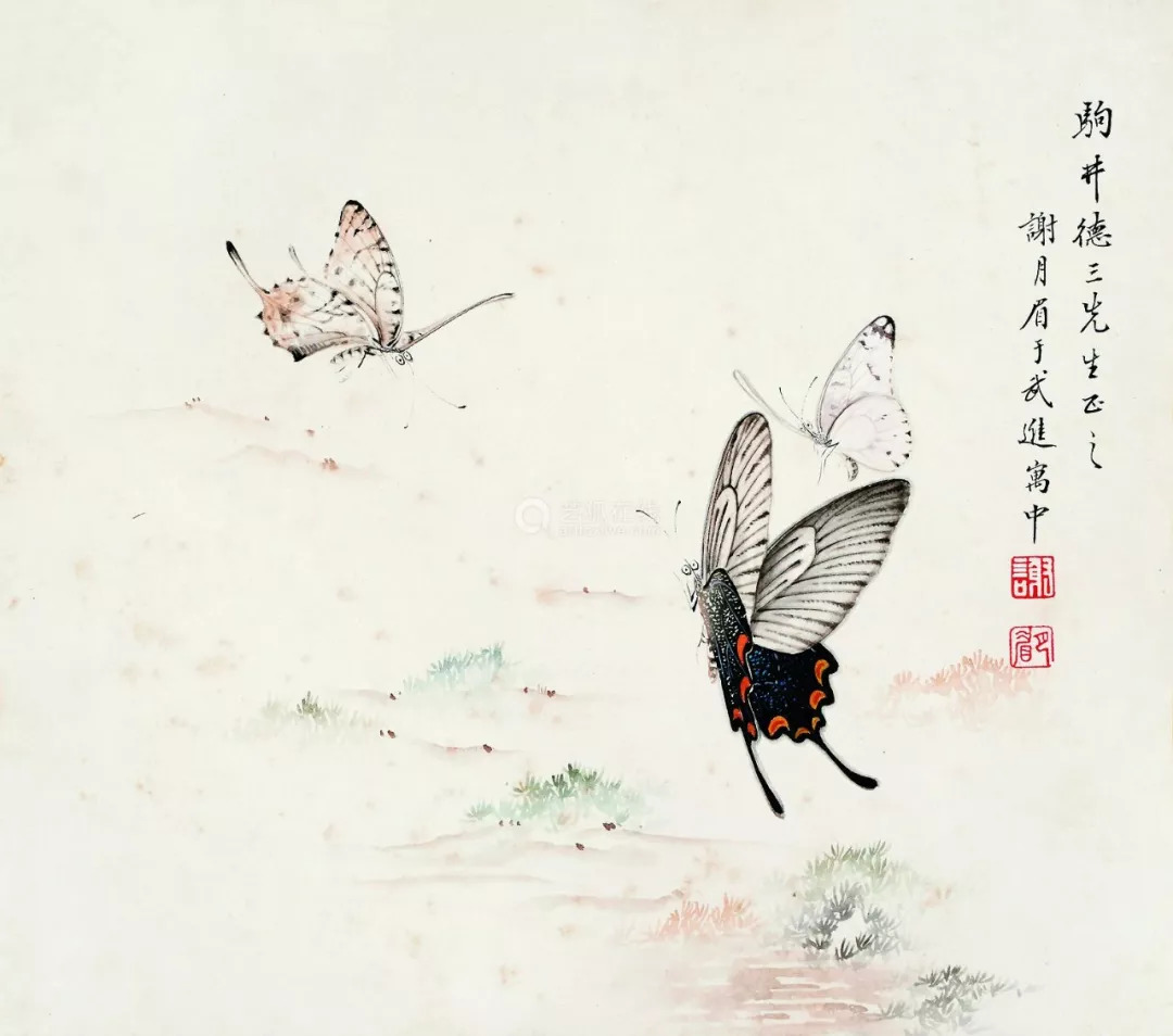 民国花鸟圣手大全,她凭自学成名堪称民国花鸟圣手