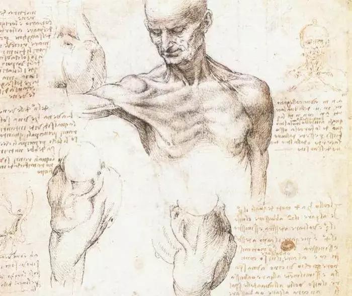 郭德纲如何评价上海交大博士,吐槽郭德纲的交大博士