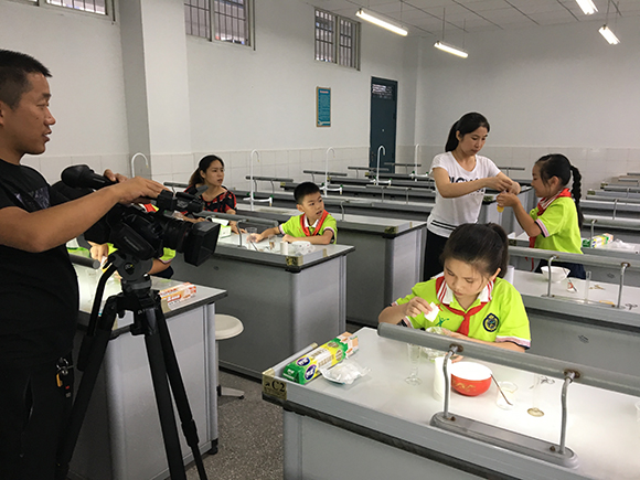 “蚊子来咬我吧,别去碰小鸡!”登上央视的重庆辽宁小学因为一个实验火了