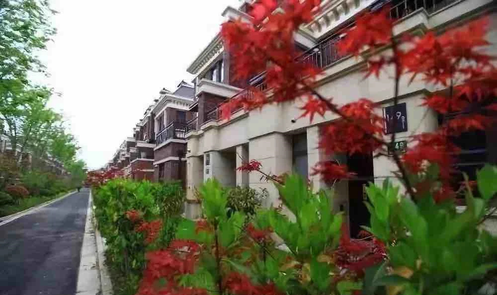 豪宅惊现20本房产证,内环现象级热销豪宅