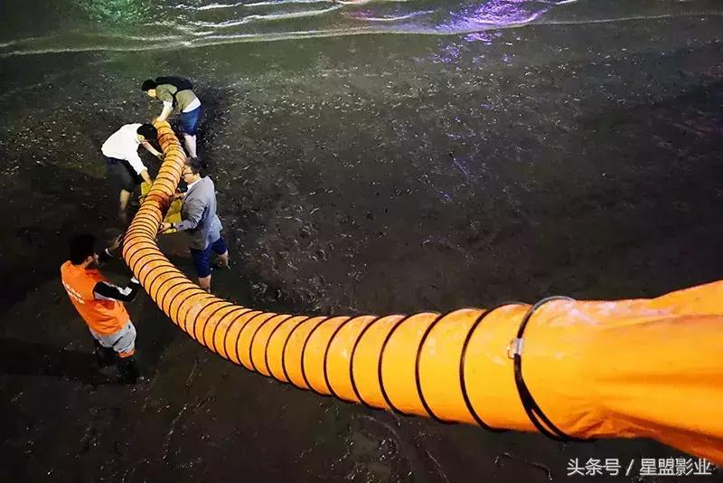 索达吉堪布:为什么要吃素、环保、爱动物?