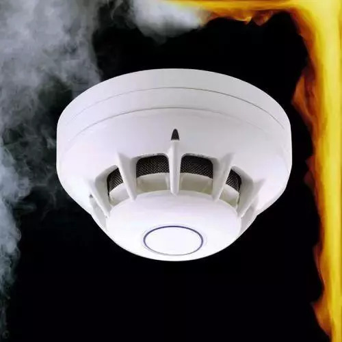 在中国撒泼打滚耍无赖的“熊老人”，来加拿大终于学乖了！