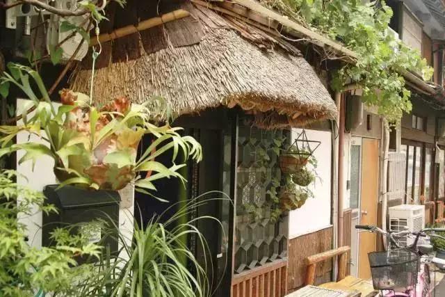 日本旅游最佳民宿,日本旅游民宿推荐