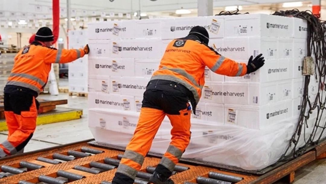 盒马有什么可以加工的,盒马当下阶段的挑战是什么