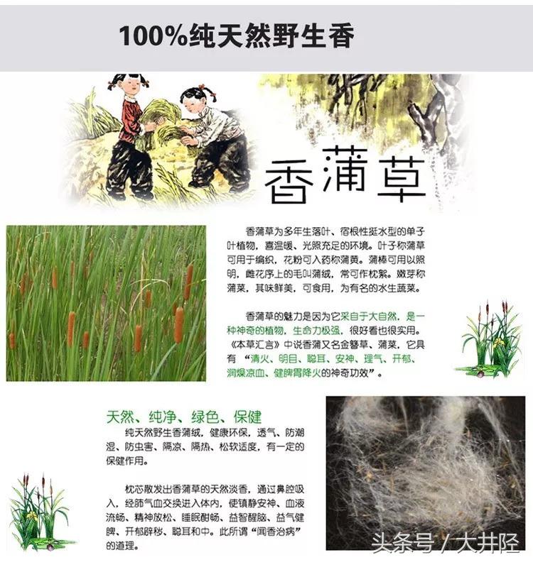 这种草制品很多人见过，但是你们真的了解它吗？