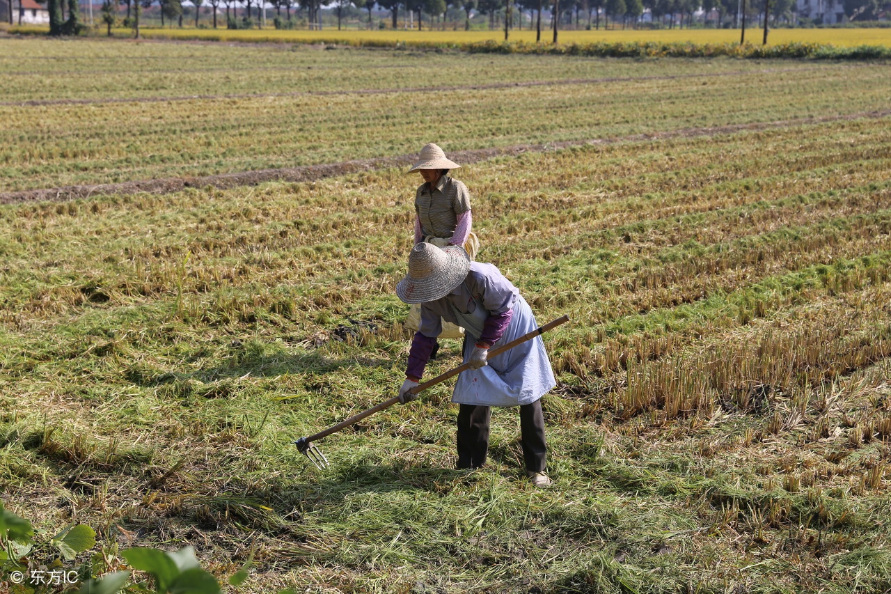 在北京买不起房怎么办,根本买不了菜怎么办