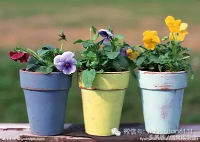 数字秘密详解,数字中隐含的大秘密