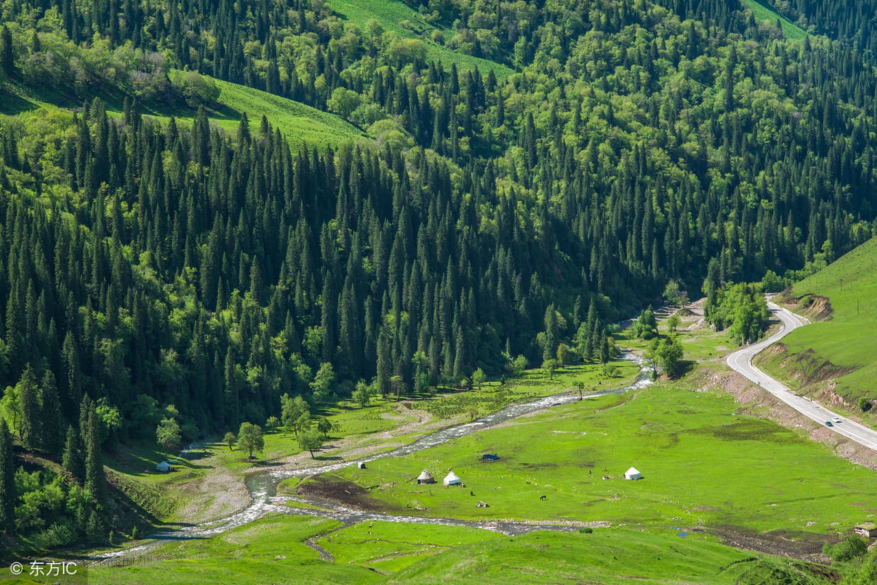 高考高分作文预测与立命,高考范文预测