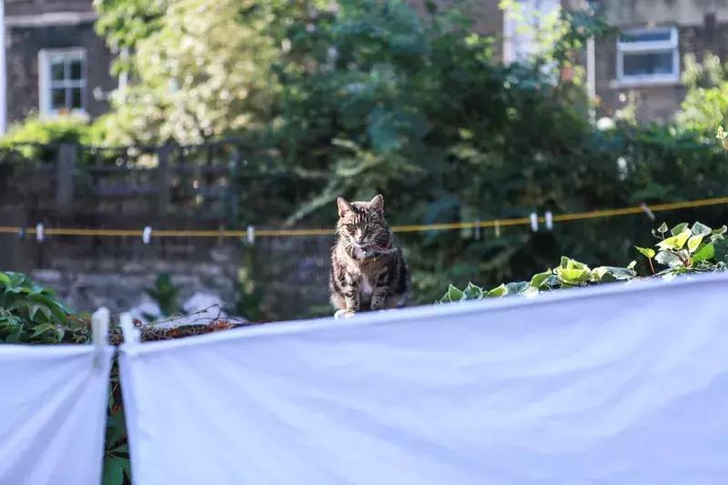 想了解一个学校应该问哪些问题,问哪些问题可以了解一个人的三观