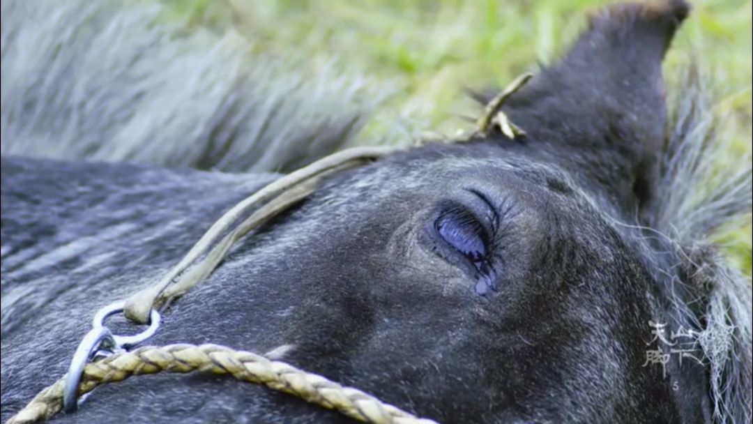 忘记那些不堪回首的人和事,忘记那些心酸的往事