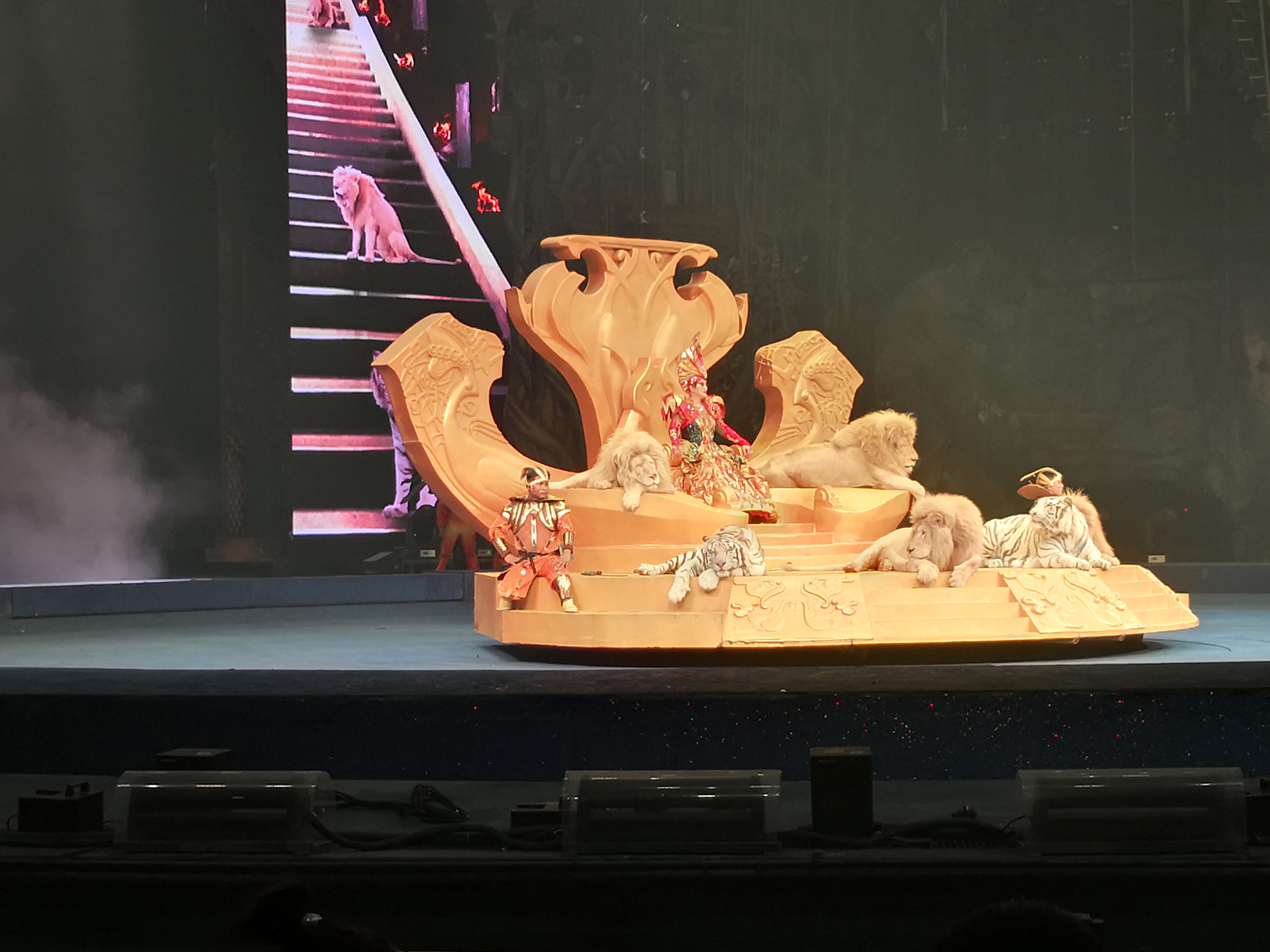 来广州的第一件事就是去长隆,去广州长隆怎么玩最省钱